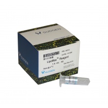 LipoMax DNA Transfection Reagent SUDGEN